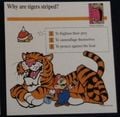 Striped tigers quiz card.jpg