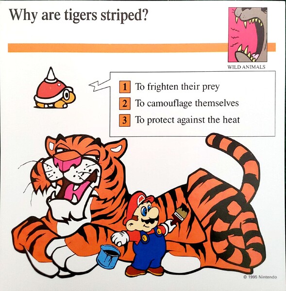 File:Striped tigers quiz card.jpg