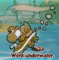 "Went underwater." discovery from Snurfboard Habitat in Yoshi and the Mysterious Book