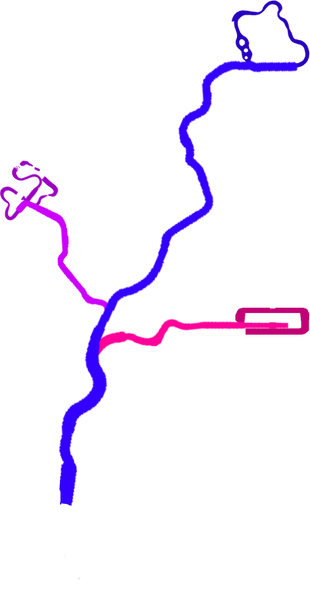 File:Crown City Version 3 Routes.png