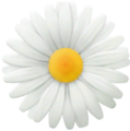 The spawnable daisy