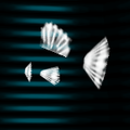 サカナのひれ ("Fish fin")
