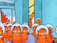 A bunch of Garfield clones