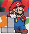 Mario leaning on a tetronimo