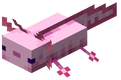 An axolotl from Minecraft