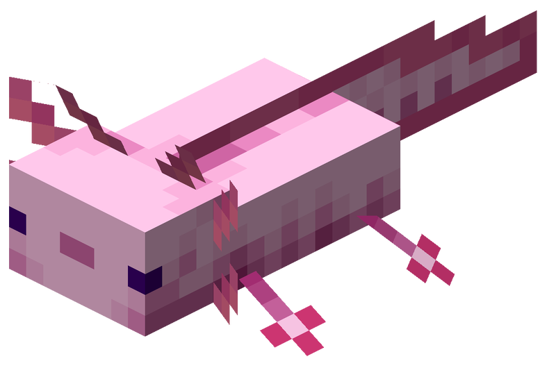 File:Minecraft Axolotl Lucy.png - Super Mario Wiki, the Mario encyclopedia