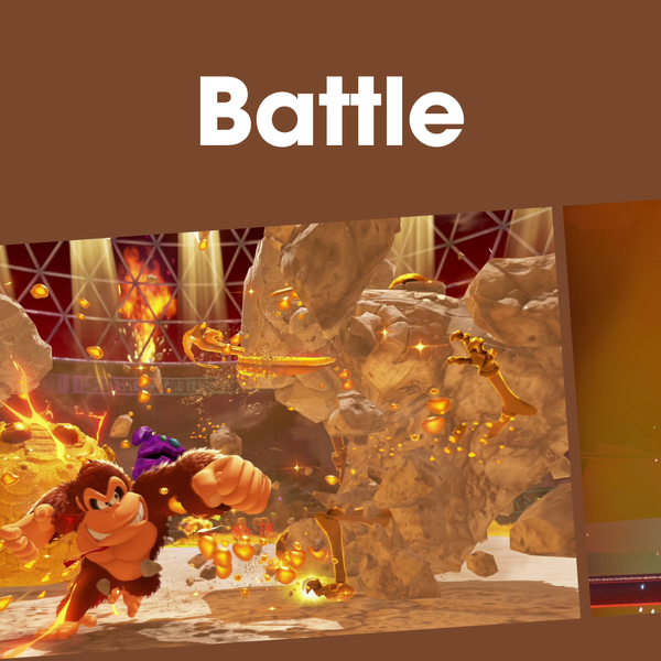 File:NM DKB Battles PL JP.png