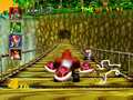 "D.K.'s Jungle Parkway"