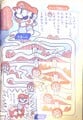Super Mario Land Kessen Meiro