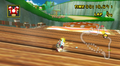 Peach near a Dash Panel in Mushroom Gorge from Mario Kart Wii