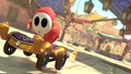 Shy Guy on the Carpet Flyer