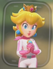 Peach's biker suit from previous Mario Kart games