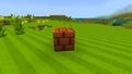 Minecraft Mario Mash-Up Brick Block.jpg
