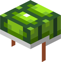 Minecraft Mario Mash-Up Turtle Shell Render.png