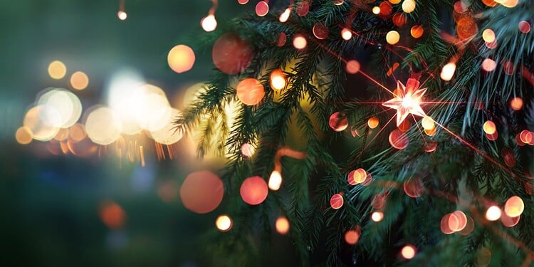 Third image from the Personality quiz: Chillin' out!.