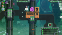 third 10 flower coin location