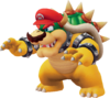 The Bowser capture icon.