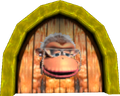 Diddy Kong's Wrinkly Door in the game Donkey Kong 64.