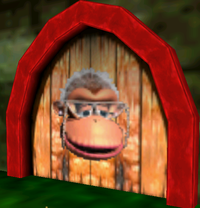 Diddy Kong's Wrinkly Door in the game Donkey Kong 64.