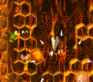 Boss level: King Zing Sting The boss level, King Zing Sting involves a boss fight against King Zing, whom the Kongs have to fight while transformed into Squawks.