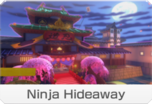 Ninja Hideaway