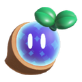 Pipe-Rock Plateau Wonder Seed
