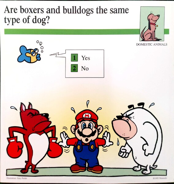 File:Boxers and bulldogs quiz card.jpg