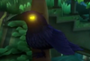 A Crow in the Garden Suites