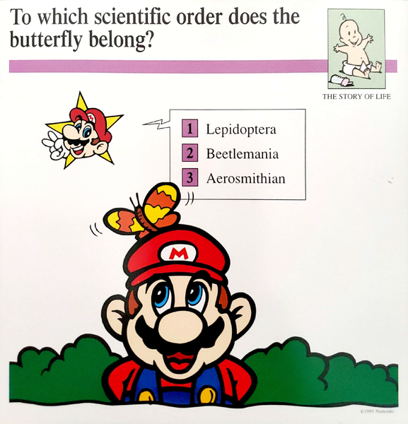 File:Order butterfly quiz card.png