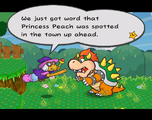 PMTTYD Post Ch2 Bowser and Kammy Petal Meadows.png