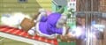 The Ice Climbers using their Reflector move in Super Smash Bros. Melee