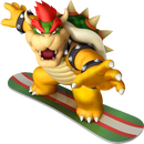 Bowser snowboarding