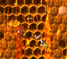 Hornet Hole The first level, Hornet Hole takes place in a Zinger hive with sticky honey covering the ground and walls. Squitter can optionally help Diddy Kong and Dixie Kong progress through the level.