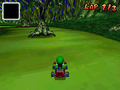 A Walking Tree in Mario Kart DS