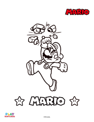 Play Nintendo Busting-bricks image.