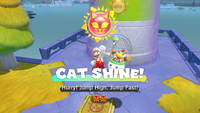 Collecting a Cat Shine in Bowser's Fury