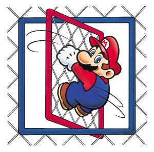 Flip Panel (Chain-Link) - Super Mario Wiki, the Mario encyclopedia