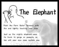 The Elephant.png