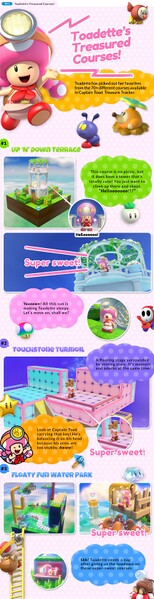 File:Toadette's Treasured Courses 1.jpg