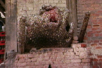 Toothache Tree - Super Mario Wiki, the Mario encyclopedia