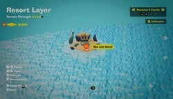 Where to find a Bloomintone