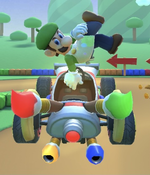 Luigi (Painter) performing a trick.