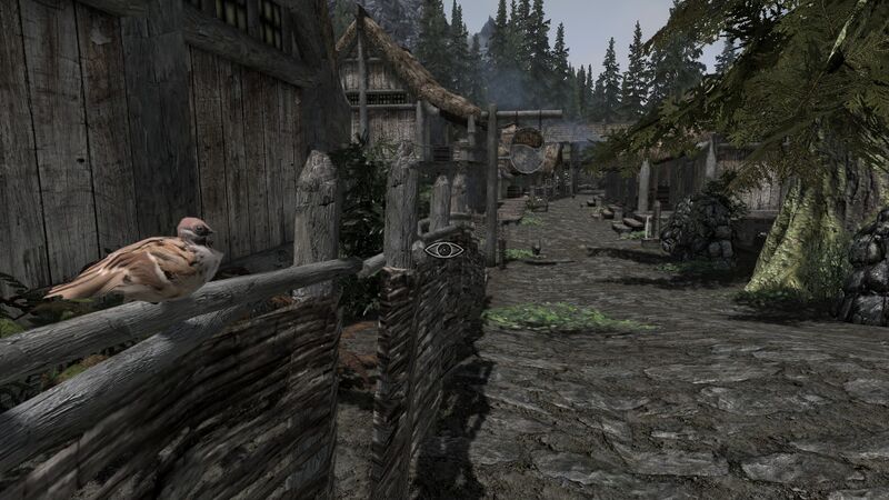 File:ShroomBirdsSkyrim14.jpg