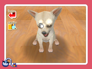 Nintendog - Super Mario Wiki, the Mario encyclopedia