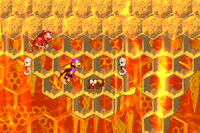 The location of the golden feather in Hornet Hole from Donkey Kong Country 2 on Game Boy Advance