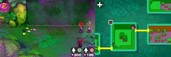 Location of the twenty-first beanhole in Dimble Wood.