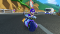 Waluigi, Princess Peach and Bowser racing on the course