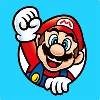 PN Mushroom Kingdom Memory Match-Up Game Mario.jpg