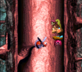 A Nid lifts the Kongs to a higher area with a Steel Barrel and the Koin