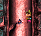 Springin' Spiders The fourth level (first in the remake), Springin' Spiders involves the Kongs using the platform-holding Nids to bounce them to the tops of various tree trunks.
